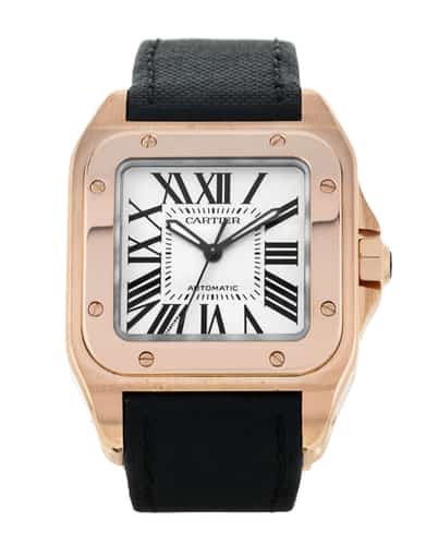 Cartier 2025 santos watchfinder